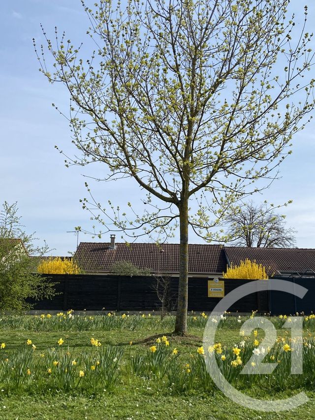 maison à vendre - 5 pièces - 88.0 m2 - METZ - 57 - LORRAINE - Century 21 Gestion Et Patrimoine